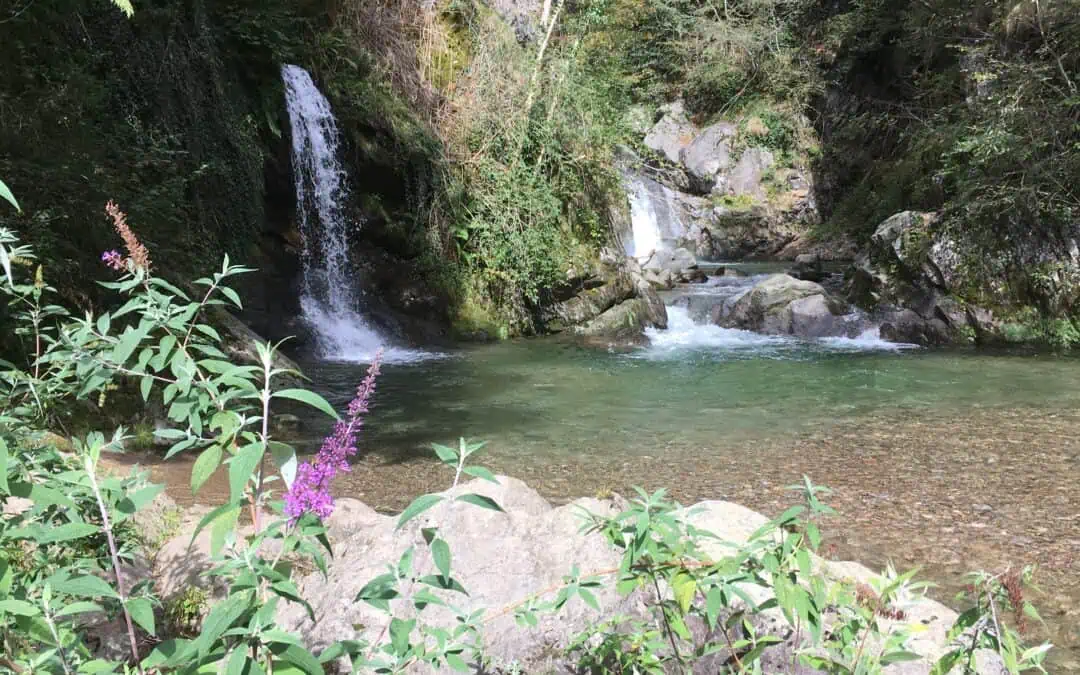 Yoga- und Wandern im Tessin, 26. April – 01. Mai 2026